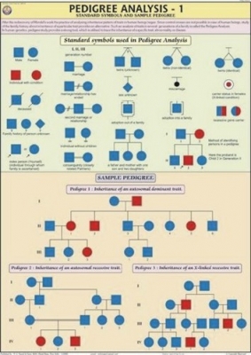 Pedigree Analysis-1 Chart